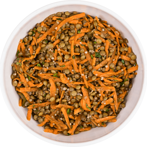 Protein Bowl